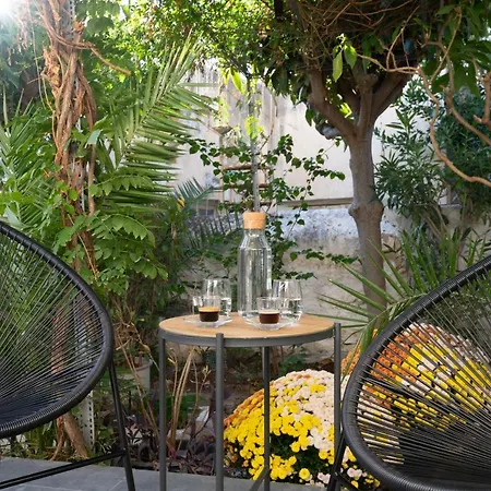 Eleven - Cozy With Garden